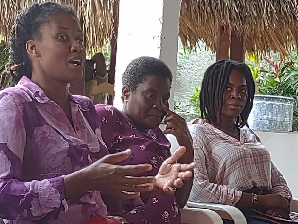 Preventing VAWG activists at a training.