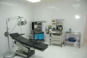 Inside a patient room at Clinica Rosa