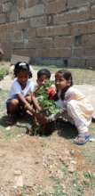 children are encouraged to look after plants