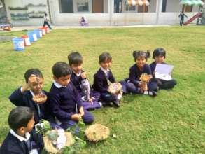 Learning about birds' nests