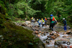 STREAM HIKE