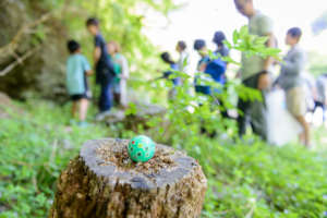 Easter Egg Hunting