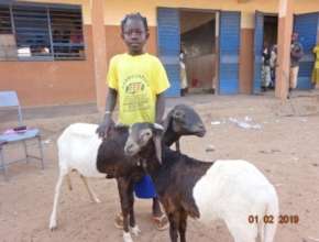 Haoua with her lambs