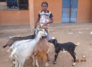 Aissa with her lambs