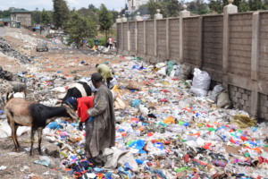 Pirates Youth engage in sorting at their dumpsite