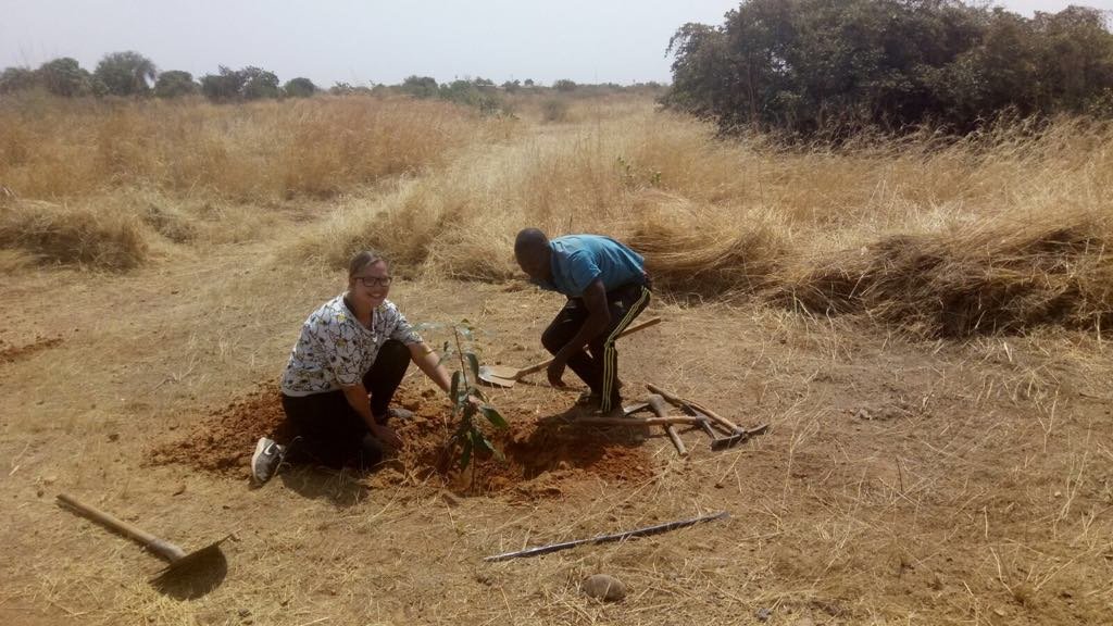 Plant a Tree in Mali GlobalGiving