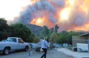Animal Disaster Response in Ventura County