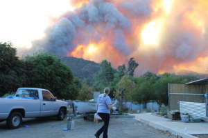 Animal Disaster Response in Ventura County