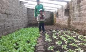 Vegetable garden in Pichigua