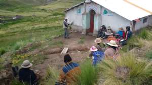 New guinea pig farm