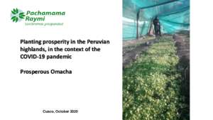 Donate_trees_to_help_impoverished_families_in_Peru_Global_Giving_Oct_2020.pdf (PDF)