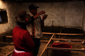 Staff demonstrating how to apply medicine