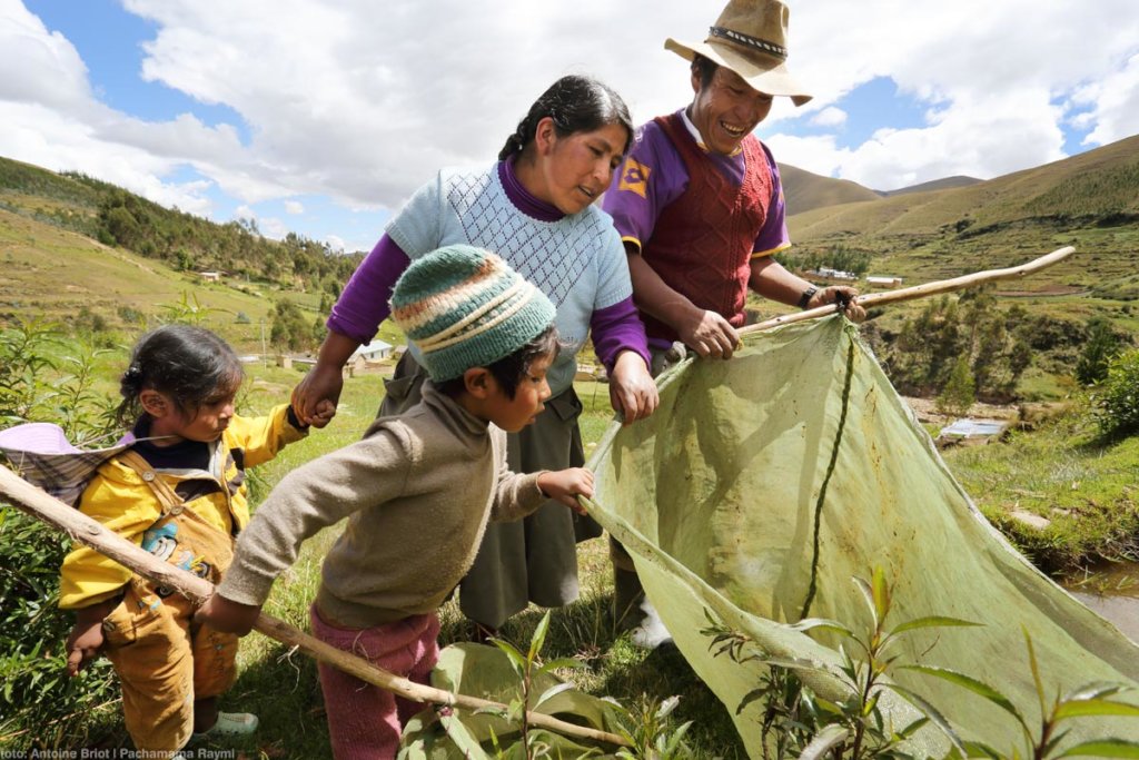 Donate trees to help impoverished families in Peru