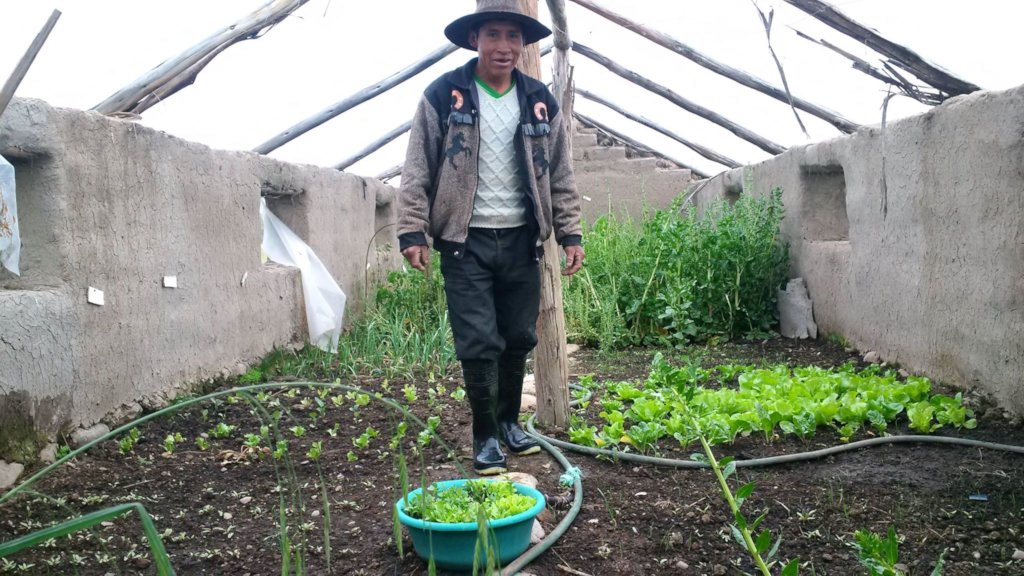 Donate trees to help impoverished families in Peru