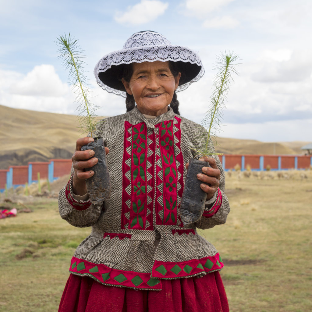 Donate trees to help impoverished families in Peru