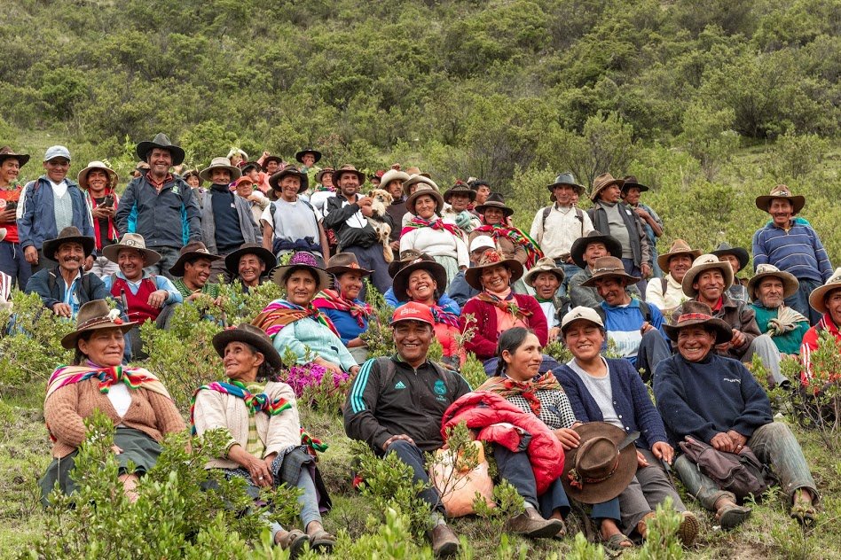 Donate trees to help impoverished families in Peru