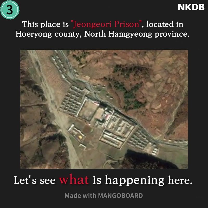 Storybooks by N. Korean Women Victims of Torture
