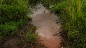 Abour School's previous polluted water source.