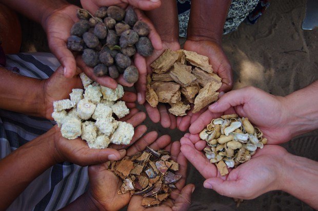 Save lives and support families via clean cooking