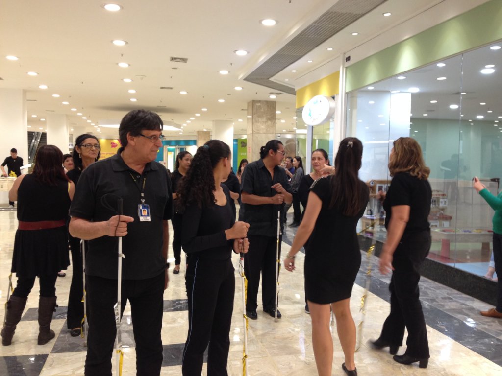 Social Inclusion of Blind people in Brazil