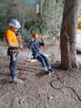 Joy of swinging