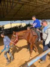 Weekly horse riding therapy for youngsters
