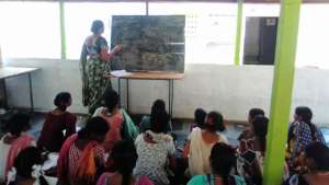 education