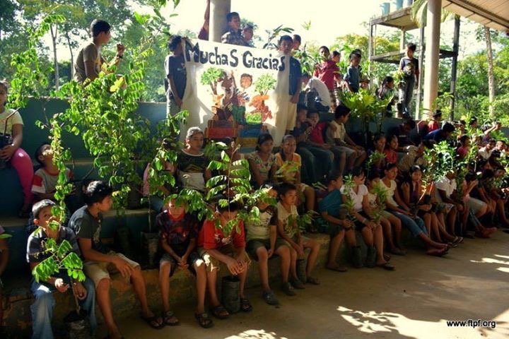 LAST FUNDRAISER - Fruit Trees 4 Guatemala Children