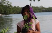 LAST FUNDRAISER - Fruit Trees 4 Guatemala Children