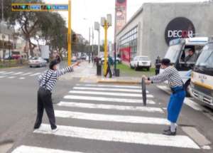 Mimos vial education
