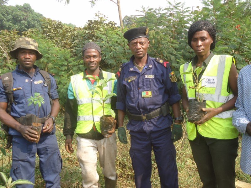 Plant 50000 Trees to Save 2 villages in Cameroon - GlobalGiving