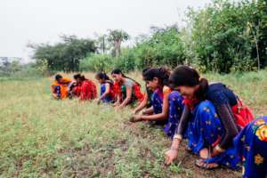 Learning to grow food