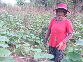 Their second daughter in law helping with the farm