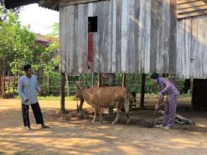 Sambo and Ku, working outside their home