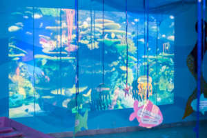 immersive underwater environment