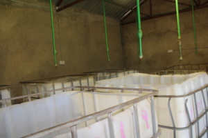 Fish Hatchery
