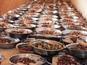 School Meals