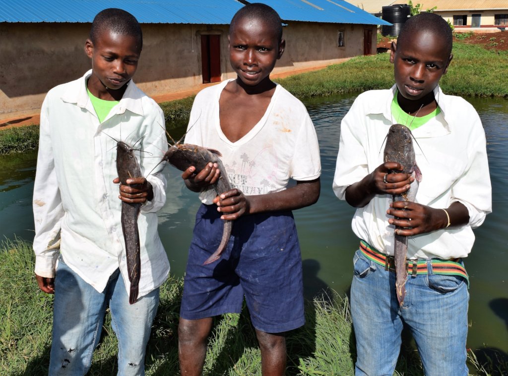 Ugly Fish: Let's Feed 990+ Schoolchildren in Kenya