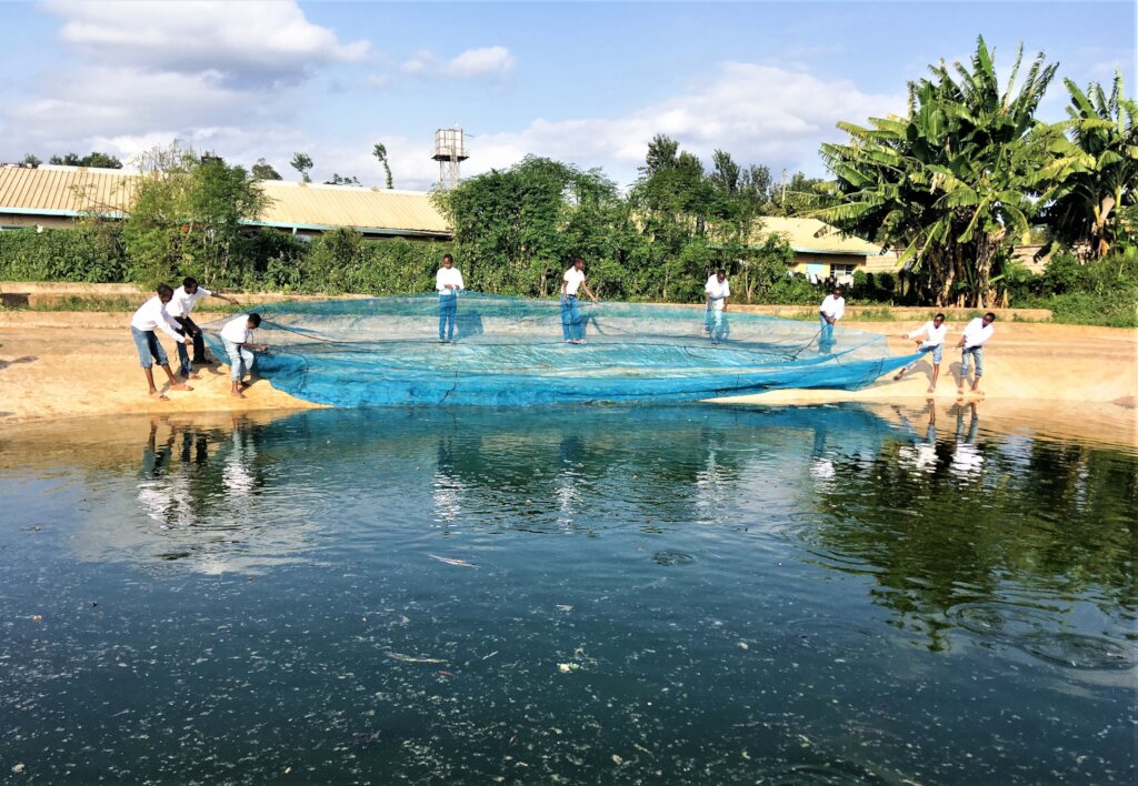 Boys fishing