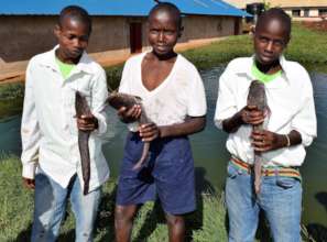 Ugly Fish add protein to school meals!
