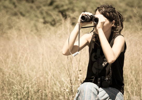 Help the Iberian lynx survive in the wild