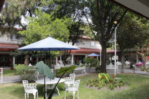 main garden