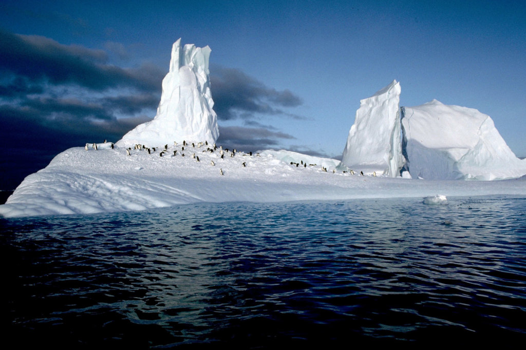 Antarctic Trip: Research Penguins, Climate Change