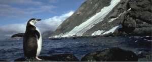 Antarctic Trip: Research Penguins, Climate Change