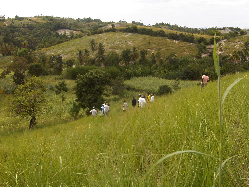 Future Fuels Rebuilding Livelihoods in Haiti