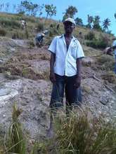 Vetiver Harvester