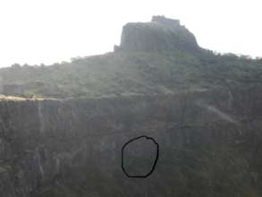 NESTING CLIFF ABOUT 90-100 MTRS ABOVE PLAIN