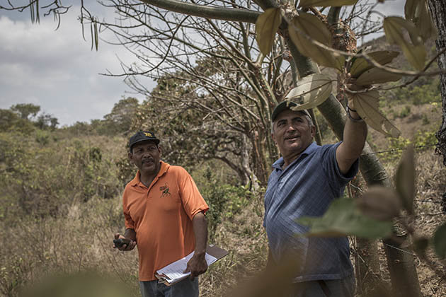 Support Riparian Reforestation with Azuero Farmers