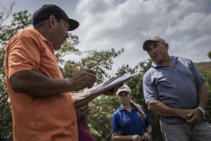 Reforestation planning