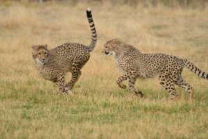 Joyce and Abigail running together